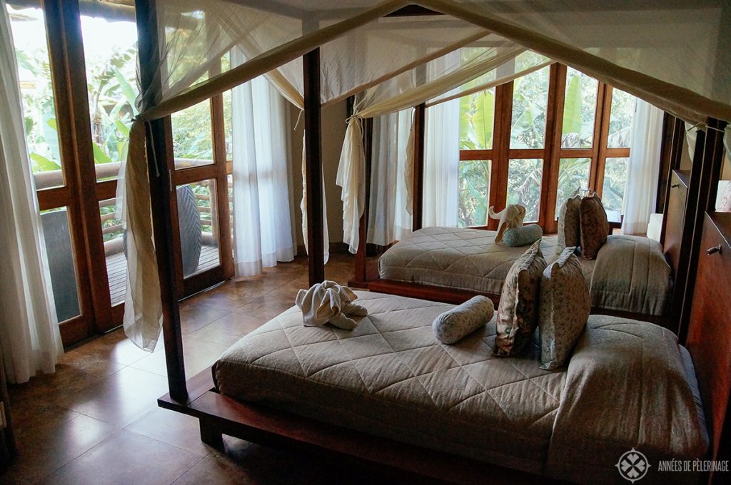A luxury amazon lodge in the Yasuni National park in Ecuador