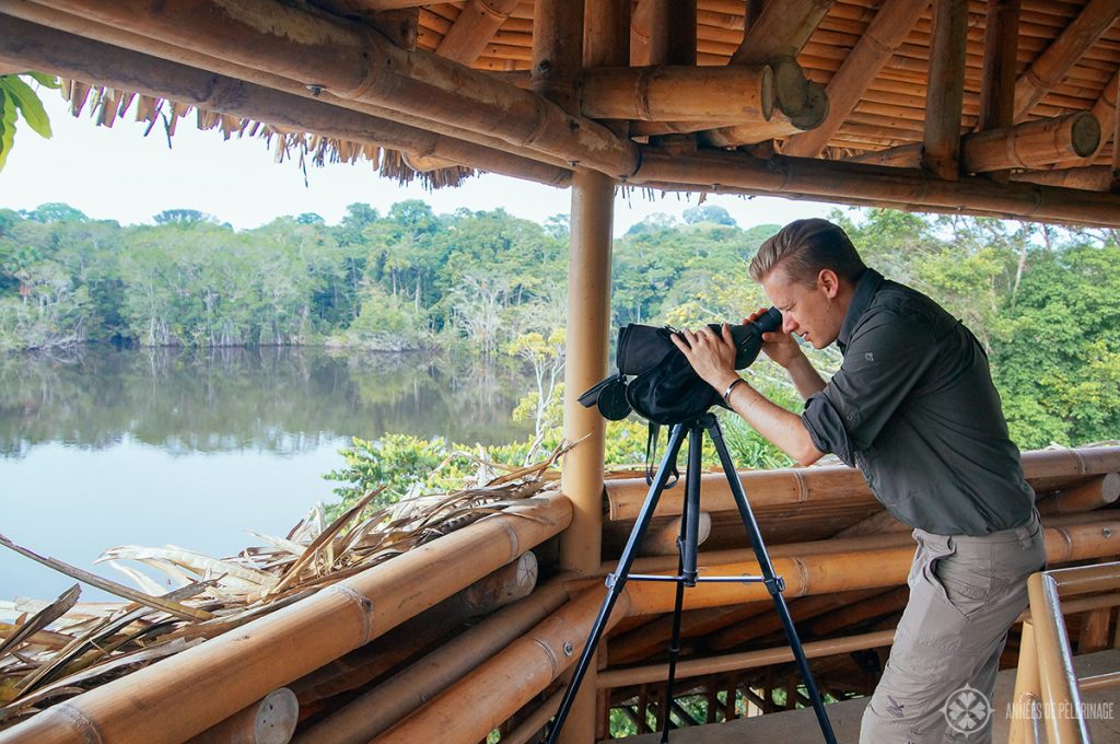 Birding in the amazon rainforest in Ecuador
