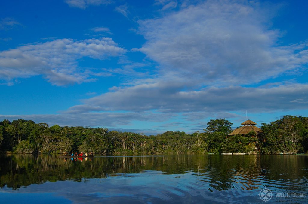 The La Selva lodge amazon tour in Ecuador