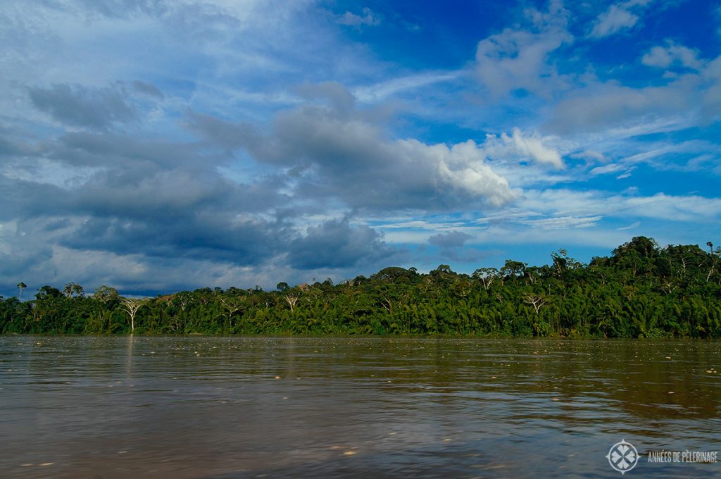 The mighty Amazon river in Ecuador