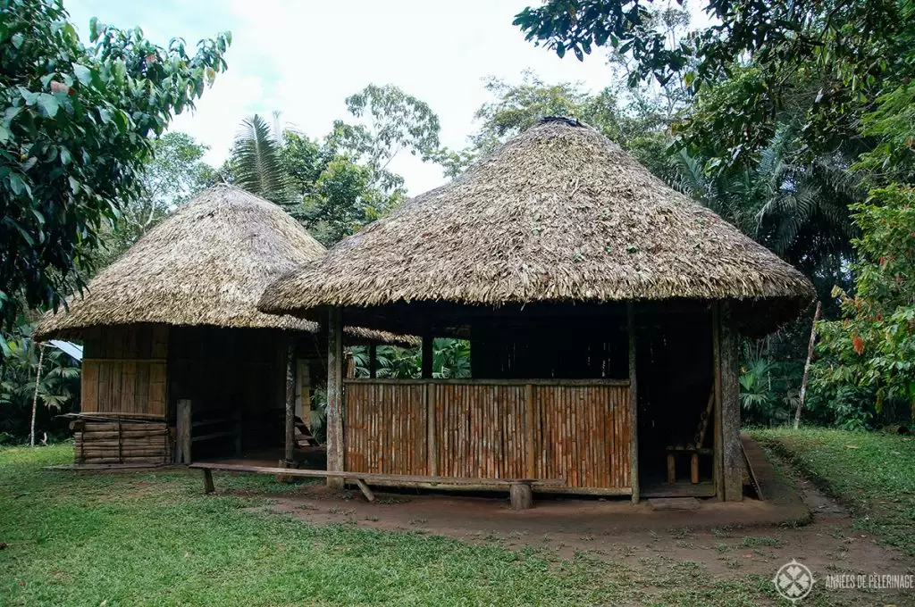 A traditional hut of the indigenous people in the amazon rainforest in Ecuador