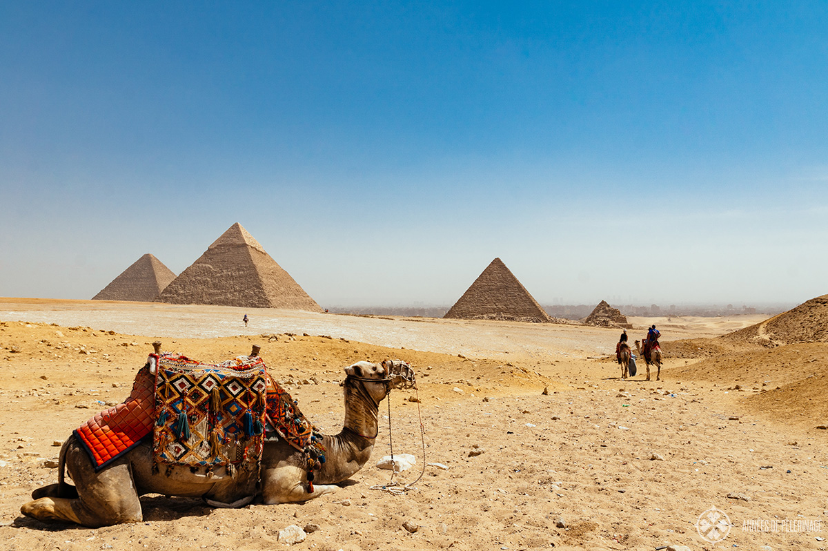 The pyramids of Giza near Cairo in Egypt with camel riders in the foreground