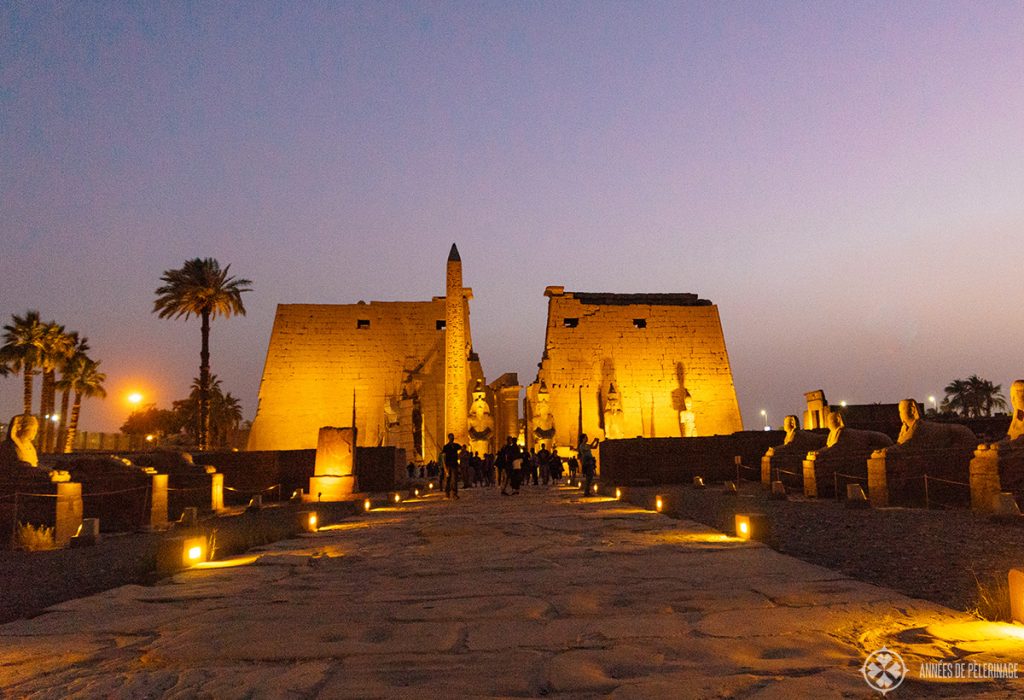 Luxor temple at nigh with the alley of sphinxes
