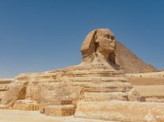 Profile of the Great Sphinx and the Pyramid of Khafre in the background
