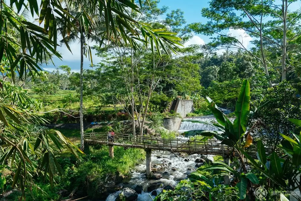 A hidden waterfall in Bali indonesia