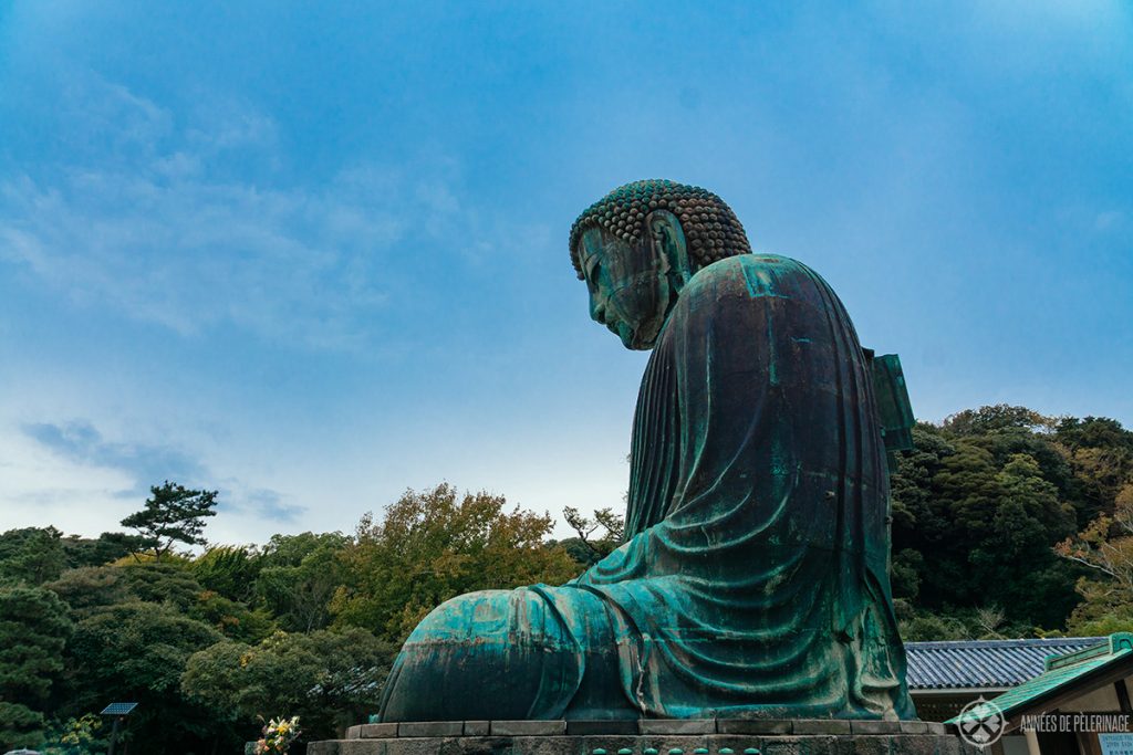 Profile of the Kamakura buddha (daibutsu) at Kotoku-in temple in Japan