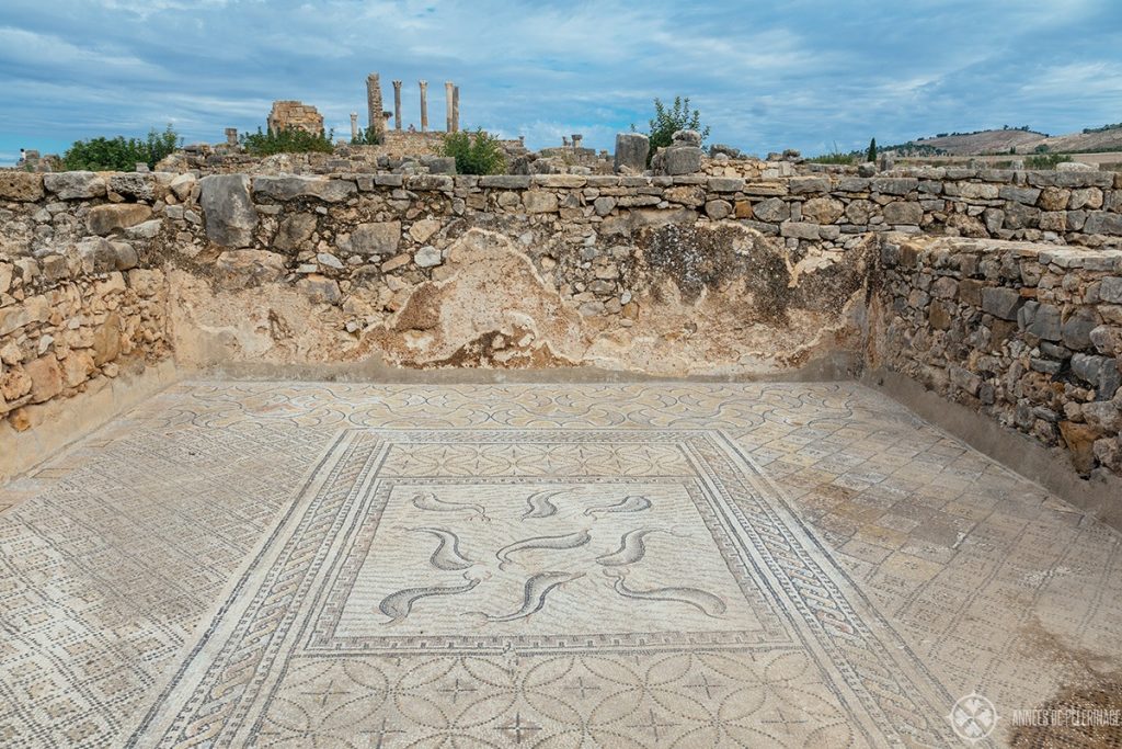 A dolphin mosaic inside one of the many villas of Volubilis near Meknes, Morocco