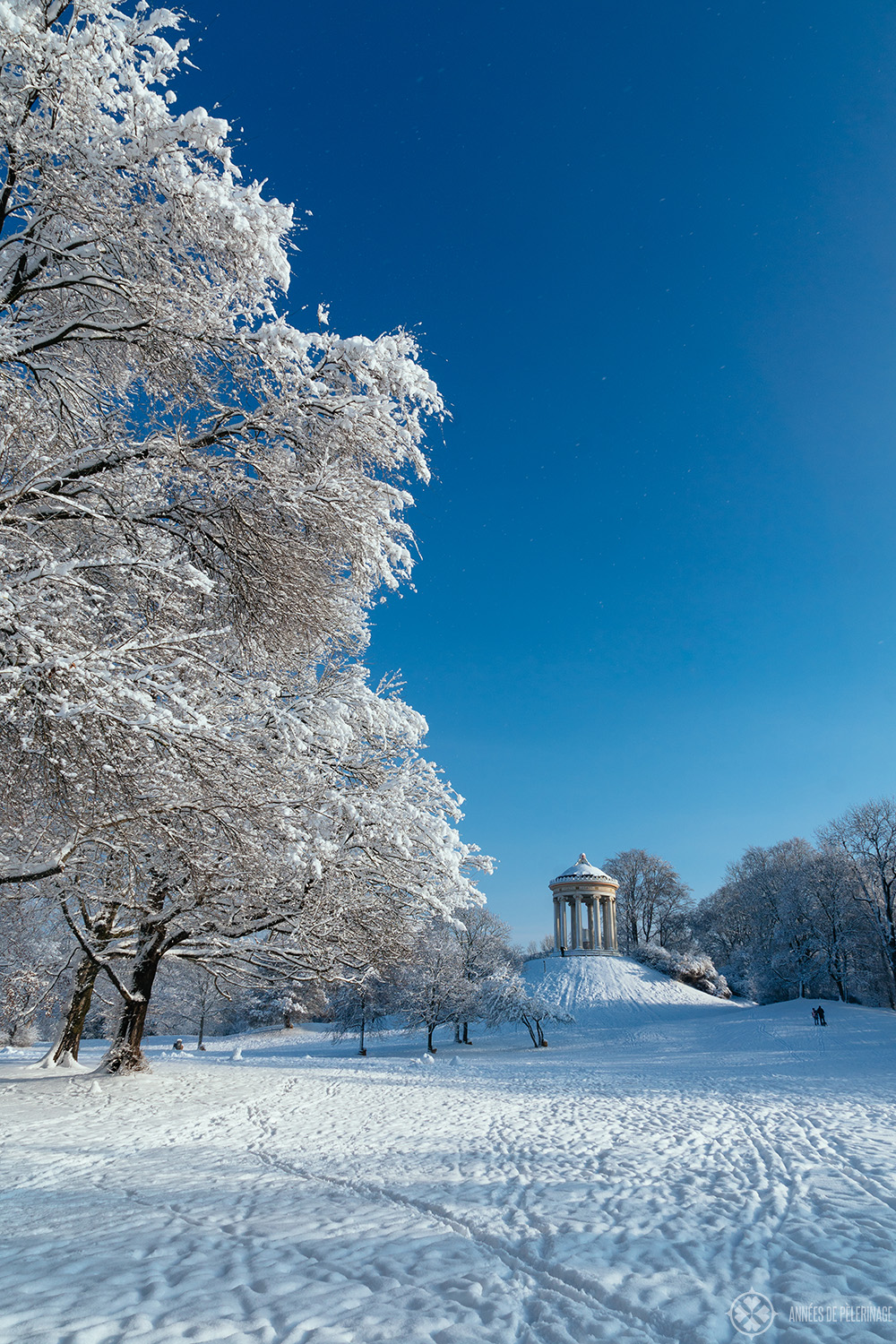 View of the Monopteros in the Englische Garten in winter