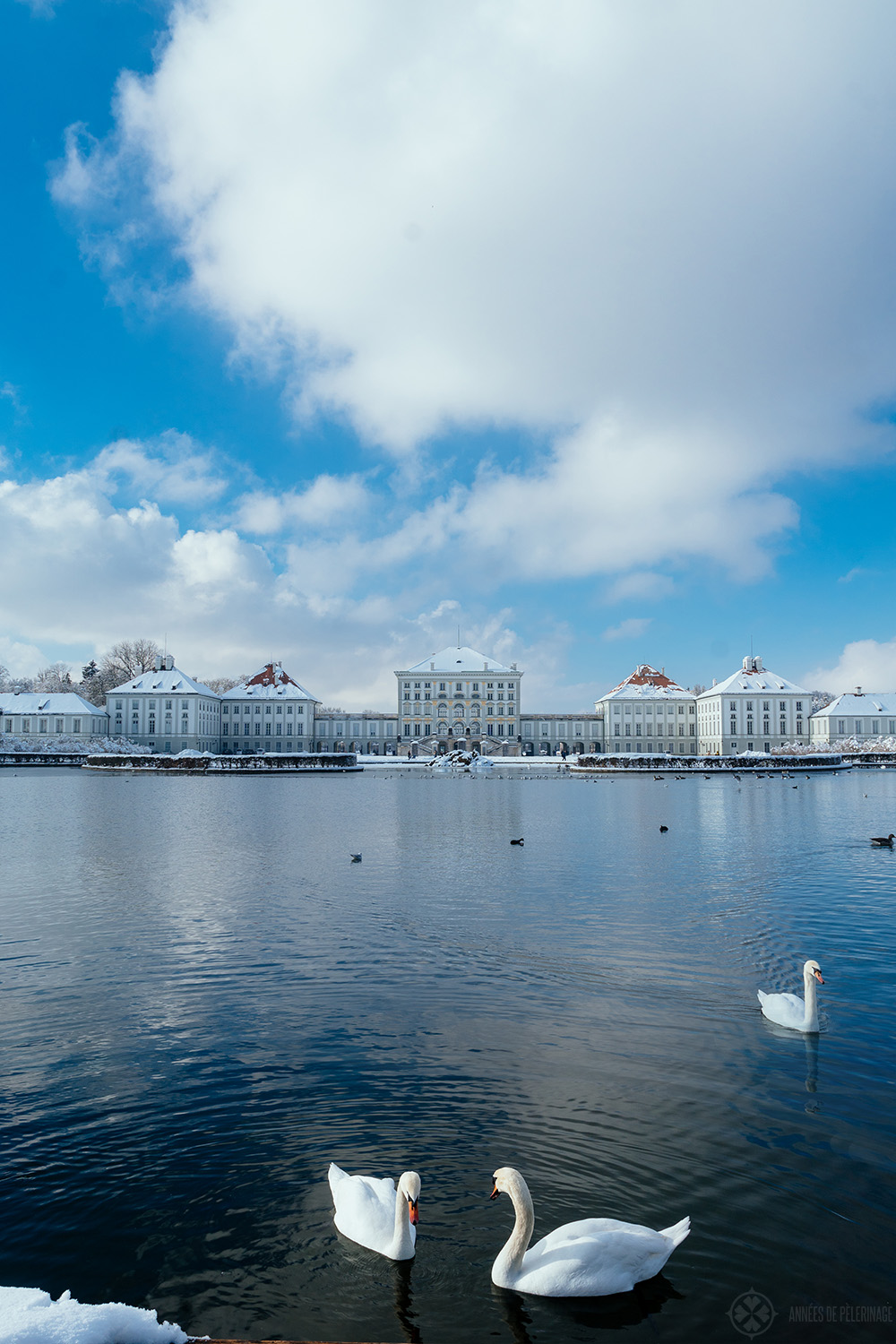 Swans in front of Nymphenburg palace - if you are wondering what to see in Munich in winter, then this is a must-see