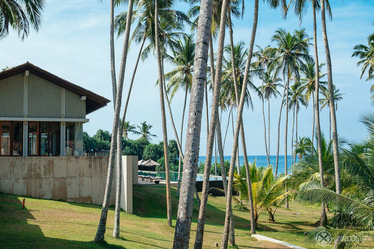 view of the bar & the main pool through the coconut grove at amanwella