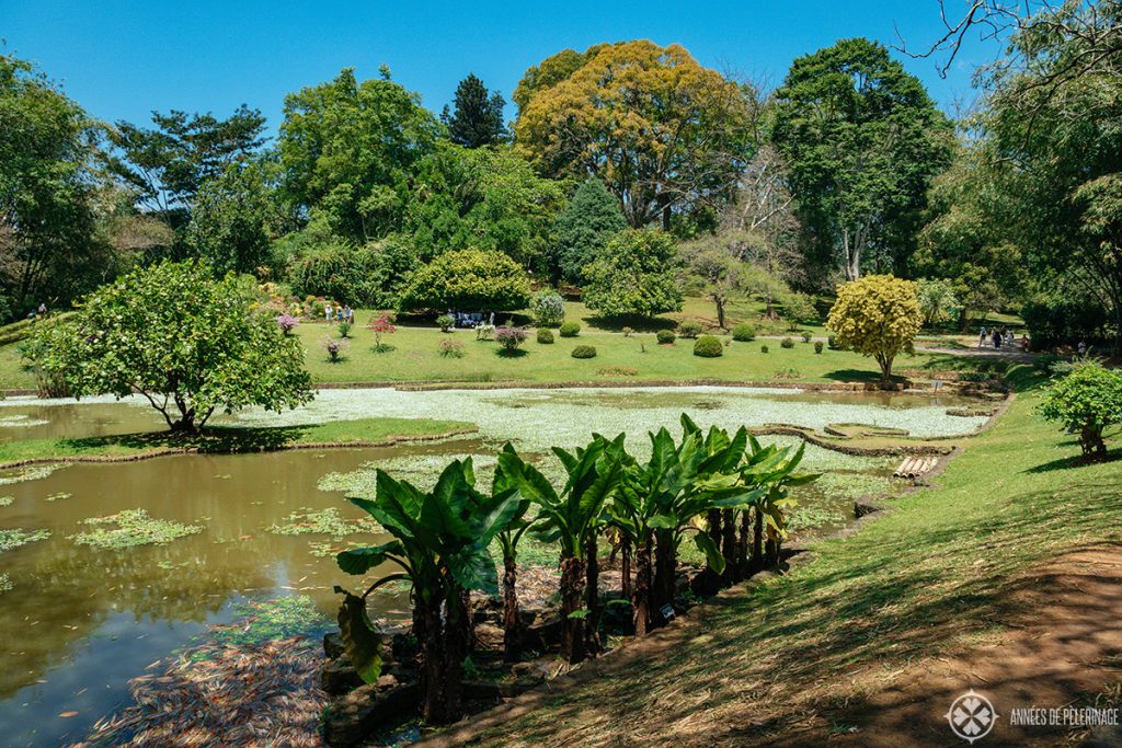 The Royal Botanical Garden in Kandy, Sri Lanka