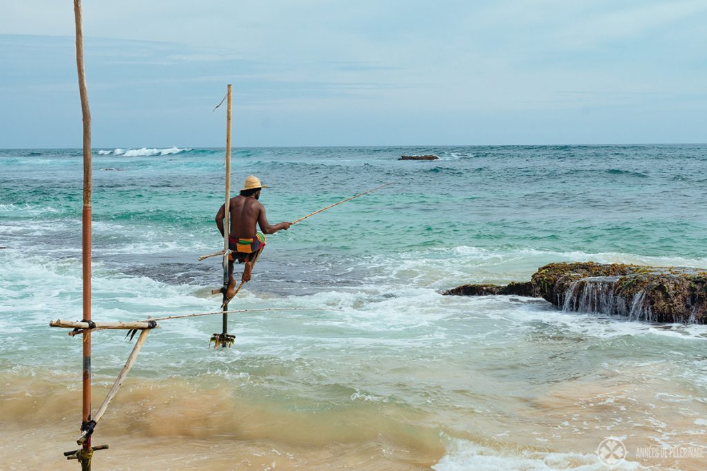 One of the famous stilt fishers of Sri Lanka as seen near Mirisa in Sri Lanka