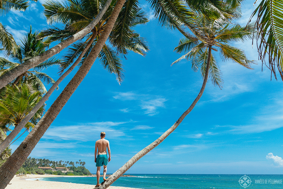 view of amanwella from the beachclub called the coconut grove