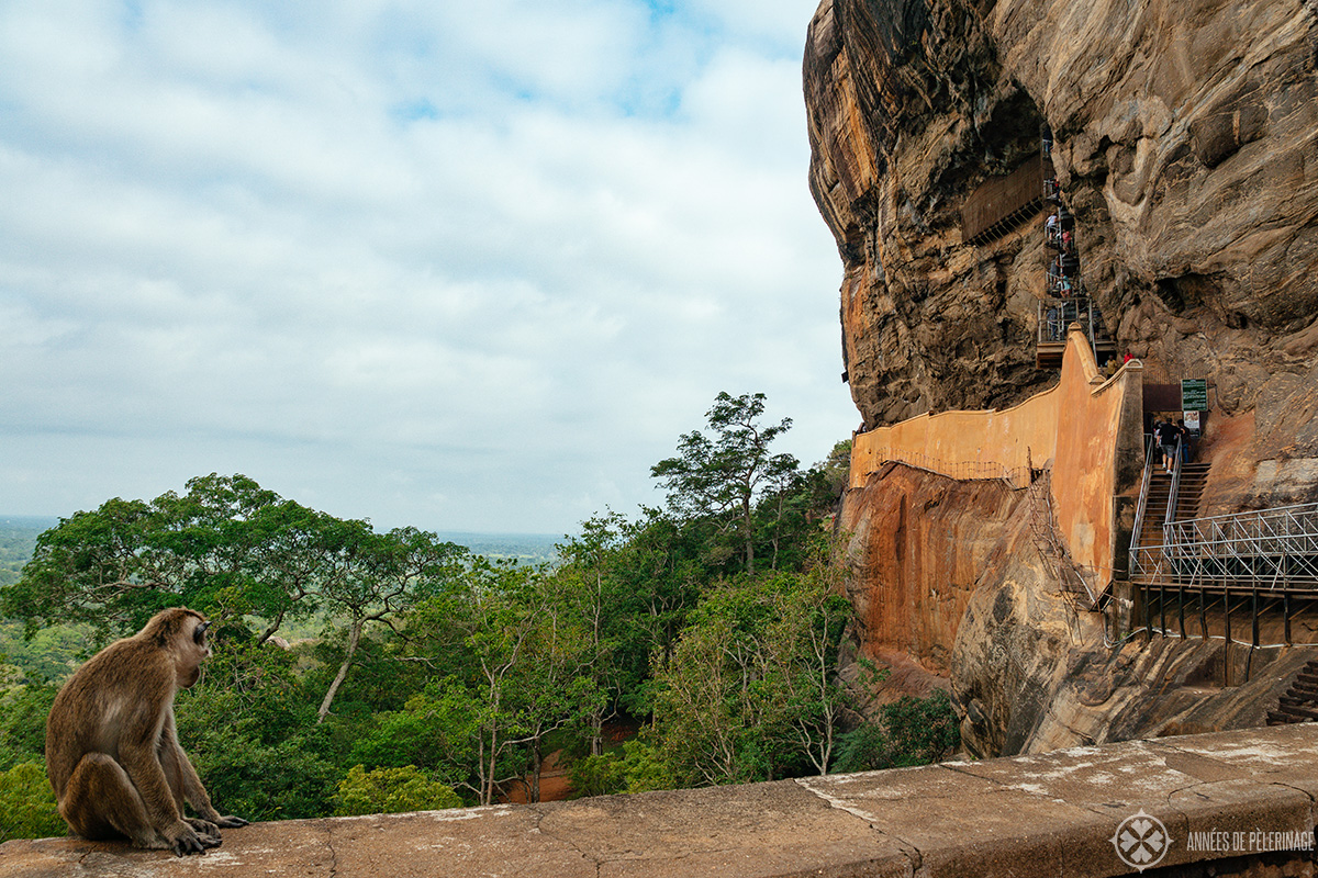 Climbing Sigiriya Tips for visiting Sri Lanka's famous Lion Rock [2019]