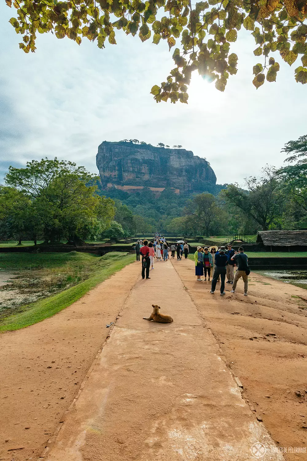 The long approach through the water gardens of Sigirya, Sri Lanka