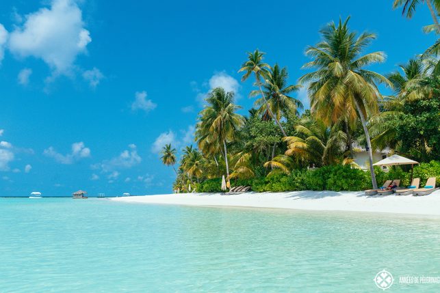 The beautiful beach of the Constance Halaveli luxury resort, Maldives