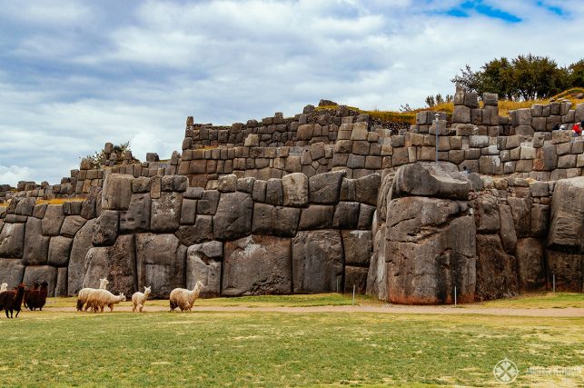 The Sacsayhuamán inca ruins with a flock of lamas below it, Cusco, Peru