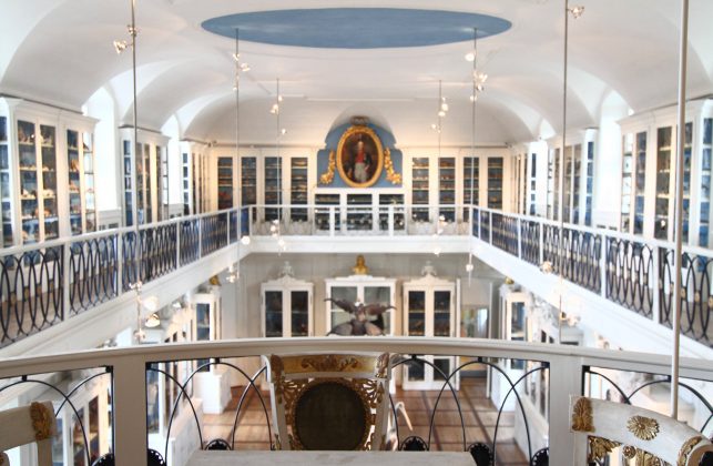 The bird hall of the natural history museum in Bamberg