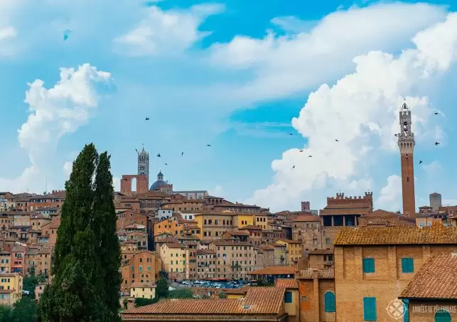 View of the old town of Siena with the cathedral on top