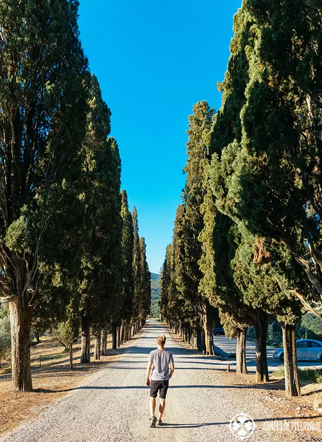 Me, walking down a typical cypress-lined road in Tuscany