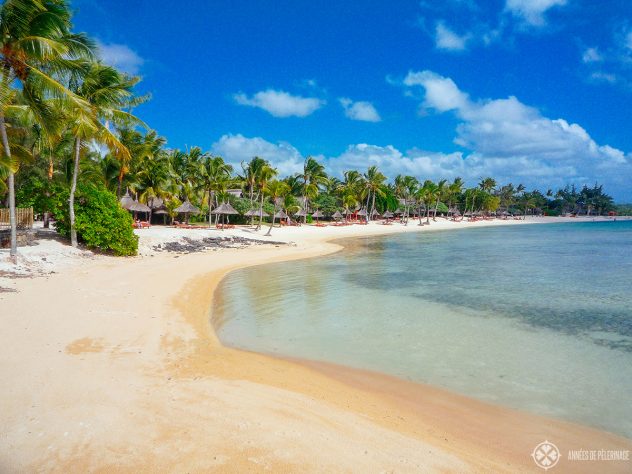 A typical beach in Mauritius with huge palm trees. This one is located at the Prince Maurice luxury hotel.