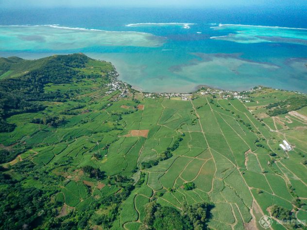 Sugar cane fields near the coast of Mauritius from above