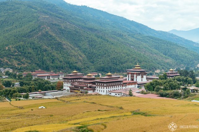 Rice fields in front of Taschicho Dzong in Thimphu, Bhutan