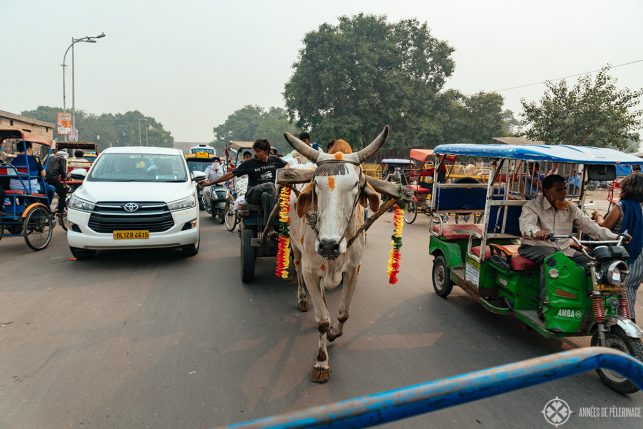 The traffic in Old Delhi, India