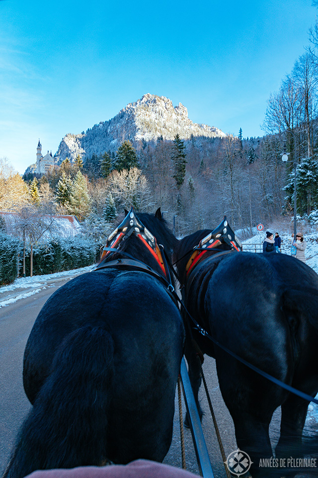 The horse carriage up to Neuschwanstein castle