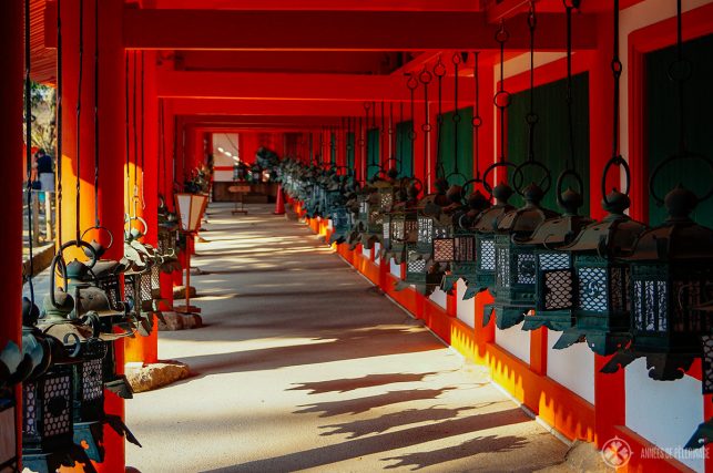 The bronze lanterns at Kasuga Taisha Temple in Nara Japan