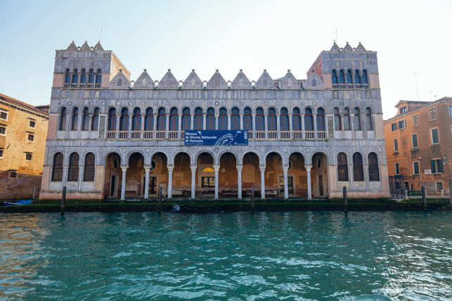 The marble facade of the Museo di Storia Naturale at the Grand Canal features two rows of arched windows and two towers on each side