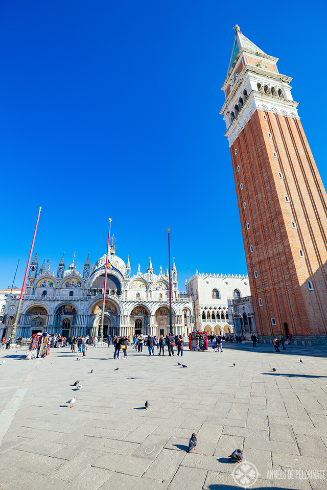 The St Mark'S Campanile (bell tower) on St Mark's square in Venice with pigeons in the foreground