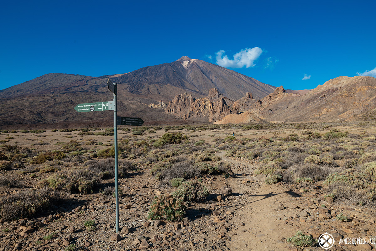 endless walkways (and a sign) in teide national park with the iconic volcano in the background