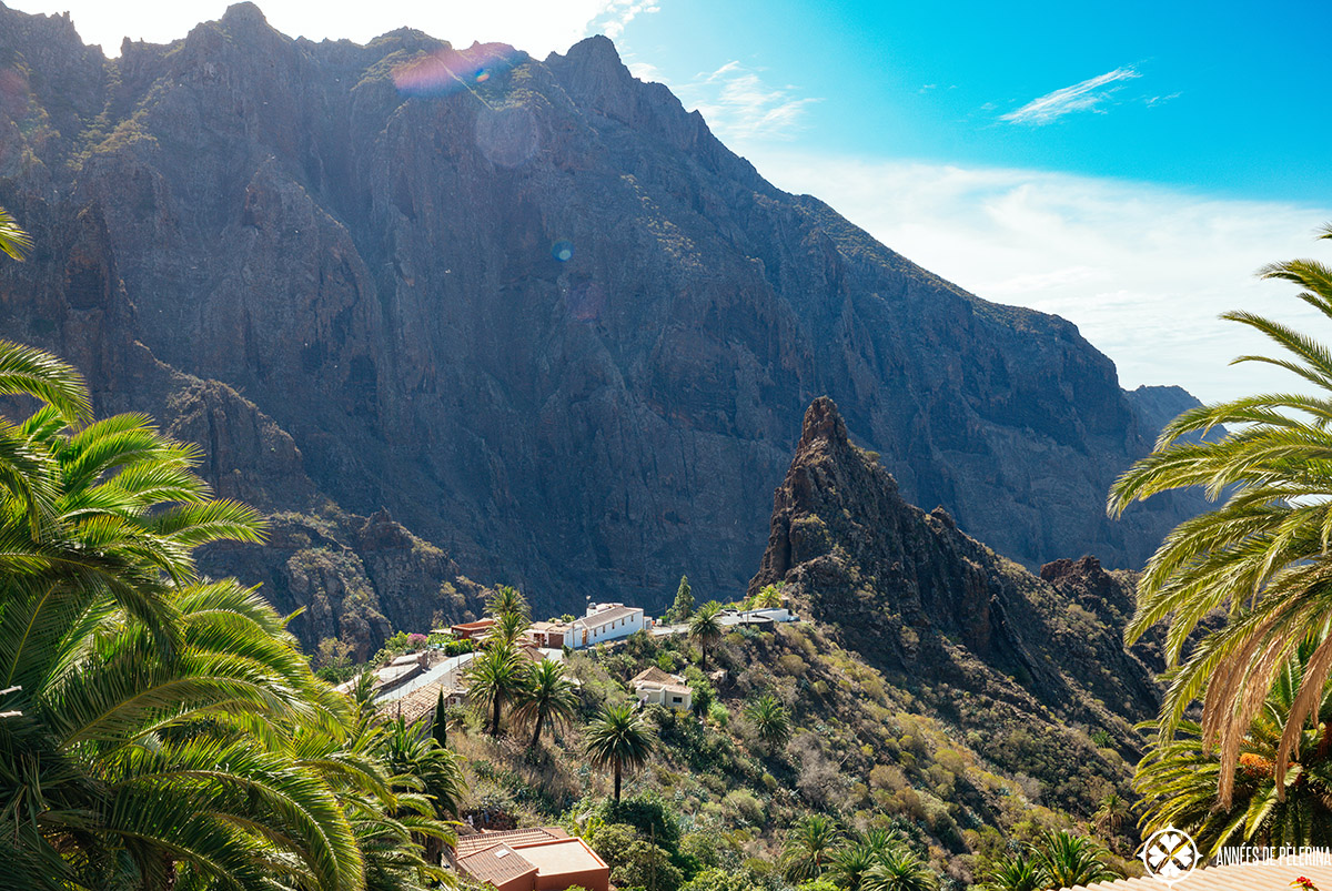 the classic view of the village Masca framed by palm trees on both side and the high mountain cliffs in the background