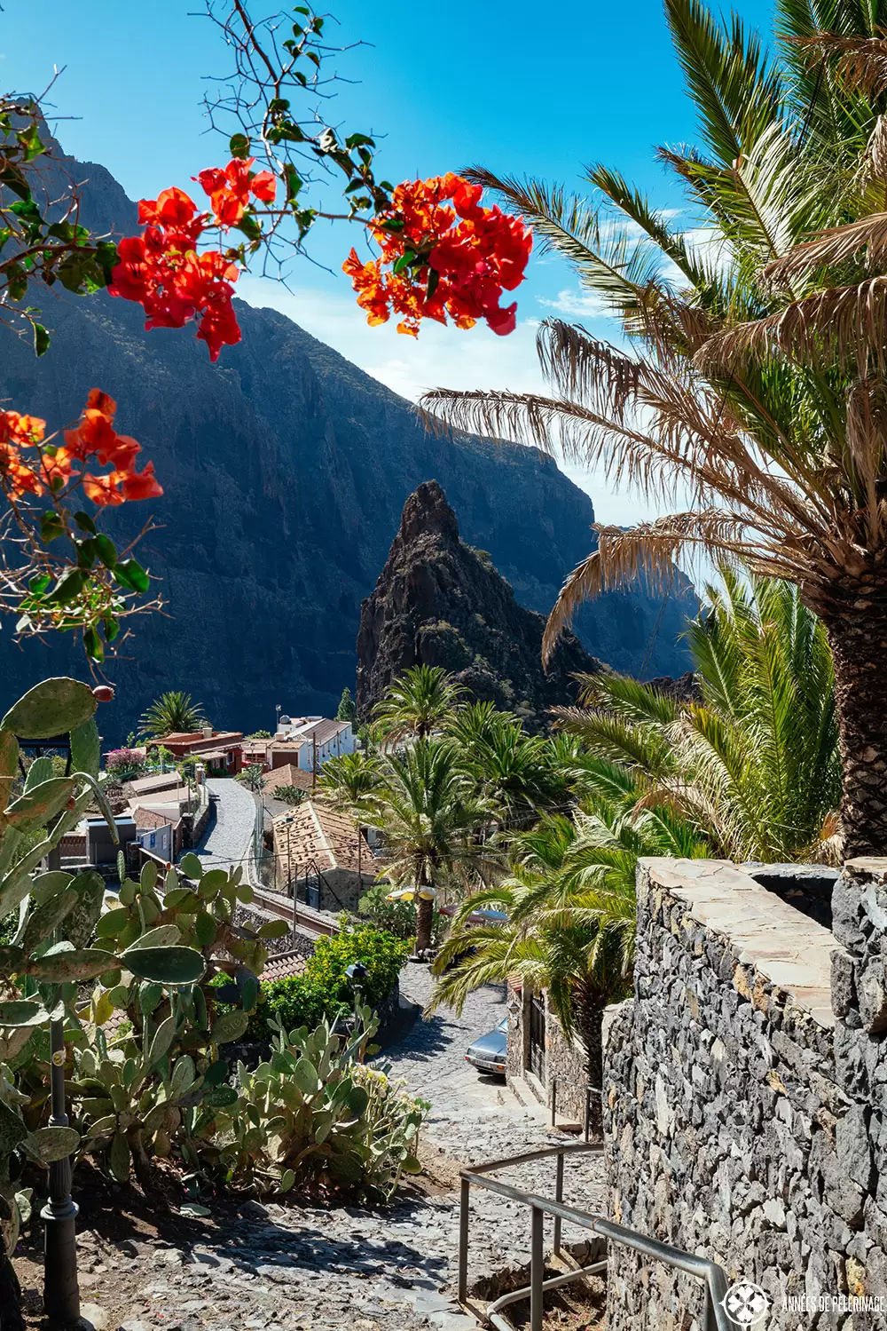 view of masco through the small main alley with flowers everywhere