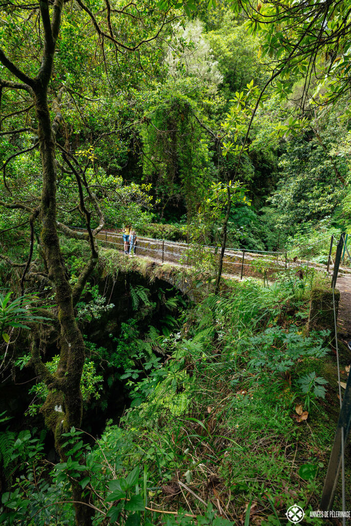 A bridge inside the Parque Forestal de Queimadas