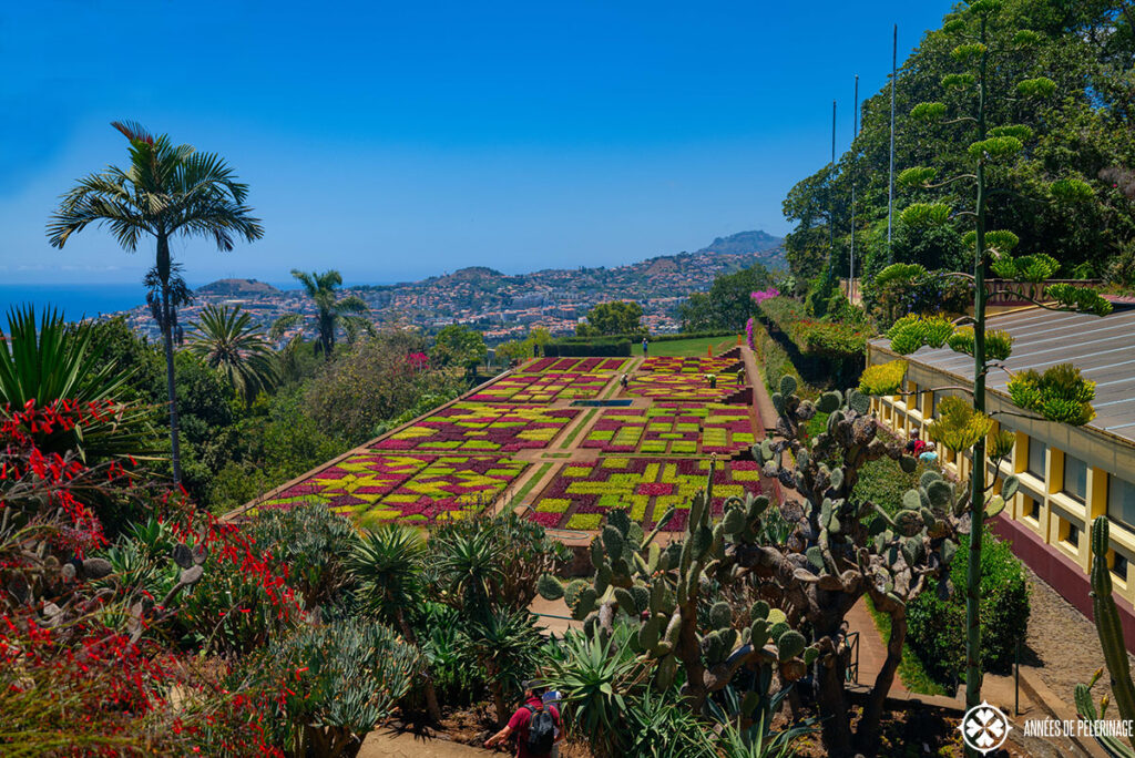 View of the main plantation of the Funchal botanical garden