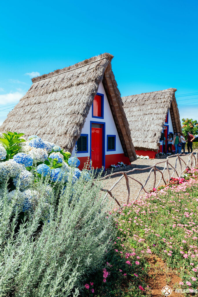 A couple of the Santana traditional houses - famous tourist attraction on Maderia