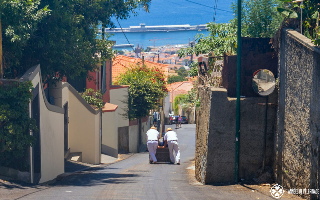 A tobbogan sled ride down to funchal