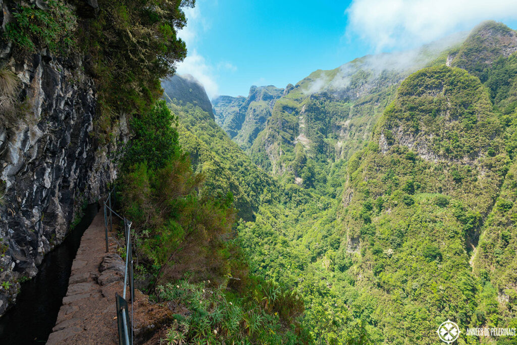 a beautiful levada walk in Maderia