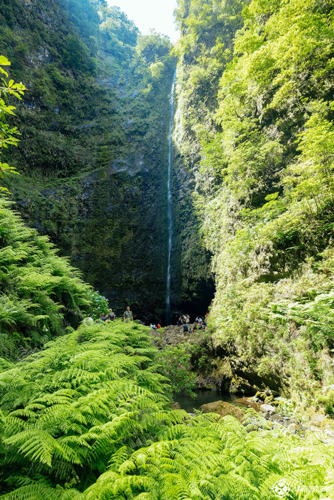 a beautiful waterfall in the mountans of madeira