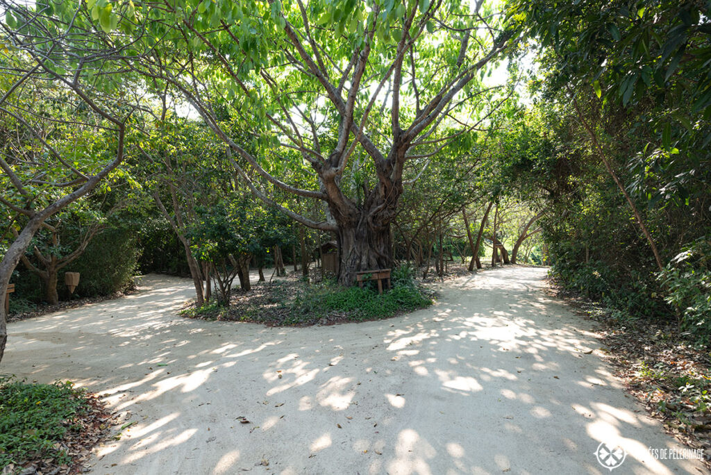 The roads connecting the different parts of the resort