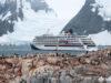 cruise ship and tons of adelie pengiuns