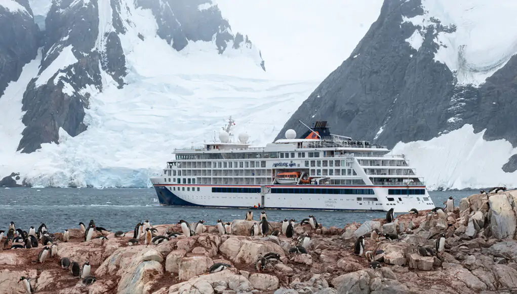 cruise ship and tons of adelie pengiuns