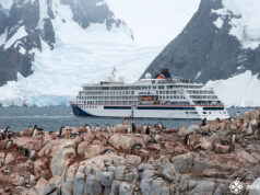 cruise ship and tons of adelie pengiuns