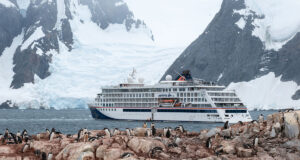 cruise ship and tons of adelie pengiuns