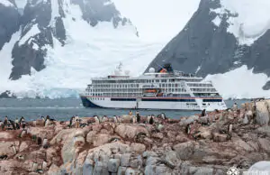 cruise ship and tons of adelie pengiuns