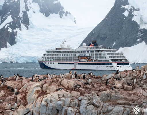 cruise ship and tons of adelie pengiuns
