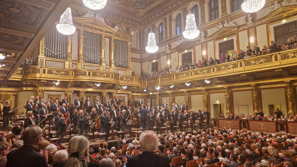 inside the musikverein concert hall in vienna